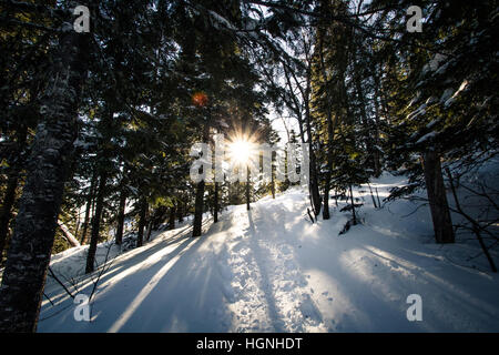 Camminando verso il sole Foto Stock