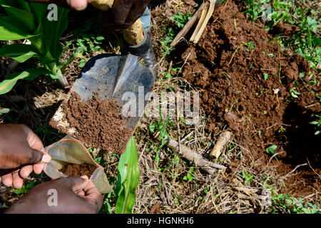 Il Kenya, nella contea di Bungoma, Mabanga, la formazione agricola istituto, terreno mobile testing lab / KENIA, landwirtschaftliches Traningszentrum, mobiles Bodentest und analizzare la manodopera Foto Stock