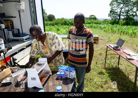 Il Kenya, nella contea di Bungoma, Mabanga, la formazione agricola istituto, terreno mobile testing lab / KENIA, landwirtschaftliches Traningszentrum, mobiles Bodentest und analizzare la manodopera Foto Stock