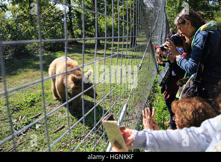 Zarnesti recare soccorso santuario in Zarnesti, vicino a Brasov, in Transilvania, Romania, Est Europa Foto Stock