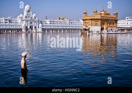 La preghiera sikh nel lago di Harmandir Sahib, o Tempio d'oro, Amritsar e India Foto Stock