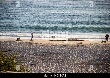 Spiaggia tranquilla Foto Stock