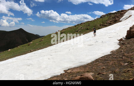 Sciatore sul campo di neve Pikes Peak Rocky Mountain National ridge Colorado Foto Stock