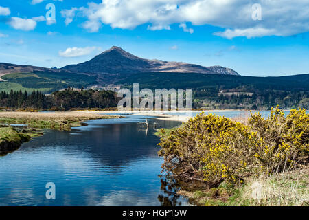 Capra è sceso dal vicino a Brodick su Arran Scozia Scotland Foto Stock