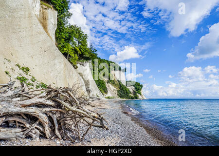 Chalk cliff costa a Jasmund National Park, vicino a Königsstuhl (Re della sedia) sull'isola di Rügen, Meclenburgo-Pomerania Occidentale, Germania Foto Stock