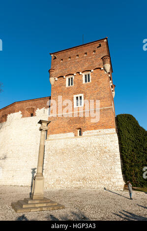 Il castello di Wawel, Cracovia in Polonia Foto Stock