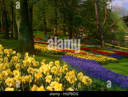 I turisti a Giardini Keukenhof, vicino a Lisse, Holland, Paesi Bassi Foto Stock