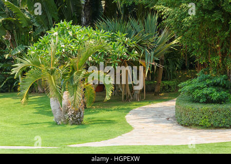 Hotel Garden con erba, alberi tropicali, sentieri e piscina Foto Stock