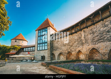 L'ex carcere Neitsitorn Torre nella vecchia di Tallinn, Estonia. Maiden Tower Foto Stock