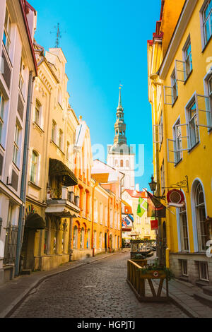 Tallinn, Estonia. Vista della strada stretta nella soleggiata giornata estiva sotto il cielo blu. Architettura antica e diversi ristoranti e caffetterie in Popular Touristic Foto Stock