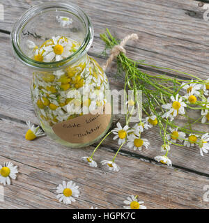 Kamillenblüten-Tinktur, Kamilleblüten-Tinktur, Kamillen-Tinktur, Kamille-Tinktur, Blüten von Kamille werden in alcol ausgezogen, alkoholischer Auszu Foto Stock