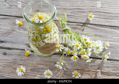 Kamillenblüten-Tinktur, Kamilleblüten-Tinktur, Kamillen-Tinktur, Kamille-Tinktur, Blüten von Kamille werden in alcol ausgezogen, alkoholischer Auszu Foto Stock