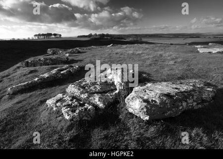 Arbor bassa Henge Stone Circle,vicino al villaggio di Monyash nel Parco Nazionale di Peak District,Derbyshire,l'Inghilterra,UK Foto Stock