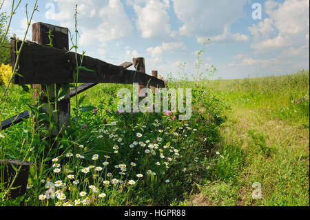 Antica recinzione lungo la strada rurale Foto Stock