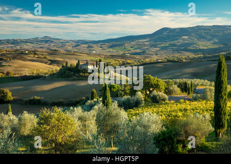 Nel tardo pomeriggio la luce del sole sul Belvedere e la campagna della Val d'Orcia nei pressi di San Quirico, Toscana, Italia Foto Stock