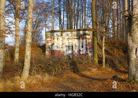 Bunker nella foresta Foto Stock