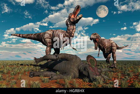 Una coppia di T Rex con un punto morto Triceratops. Foto Stock