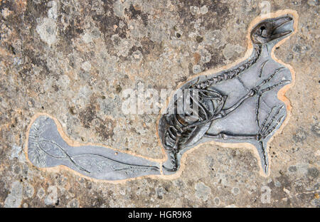 Close up di pietre fossili da Paolo Blizzard, MacArthur Street a Melbourne, Victoria Australia Foto Stock