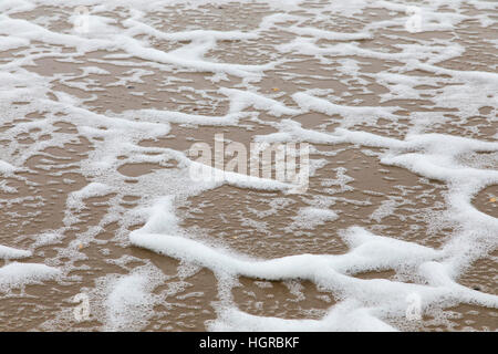 Schiuma di Mare, è formata da un forte vento e le particelle organiche presenti sulla superficie dell'acqua. Di solito queste particelle sono alghe o sali disciolti, Mare del Nord, str Foto Stock