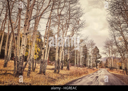 Retrò nei toni del colore di autunno strada dopo la pioggia. Foto Stock