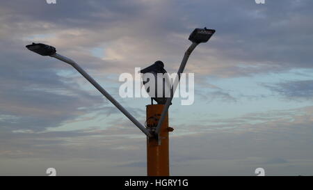 El amanecer es onu despertar de nuevos horizontes llenos de esplendor y nuevas expectativas. Es una nueva fresca mañana llena de abundancia especial. Foto Stock