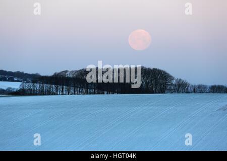 La neve copre il South Downs vicino a Brighton, Inghilterra del sud. Foto Stock