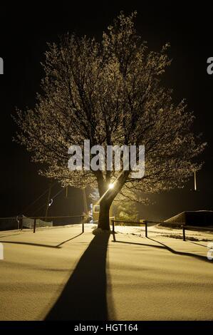 St. Andreasberg, Germania. Xi gen, 2017. Sciare di notte, in Germania, nella catena montuosa di Harz, 11. Gennaio 2017. Foto: Frank può | in tutto il mondo di utilizzo/dpa/Alamy Live News Foto Stock