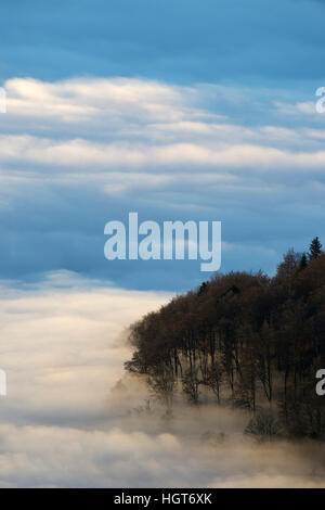 Alba con la nebbia in Pfaelzer Wald Foto Stock