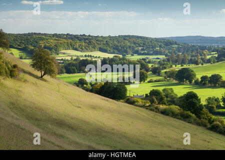 Una Hambleden Valley boscosa e i primi colori autunnali, visti dalle pendici erbose vicino al villaggio di Turville in Buckinghamshire, Chiltern Hills, Inghilterra Foto Stock