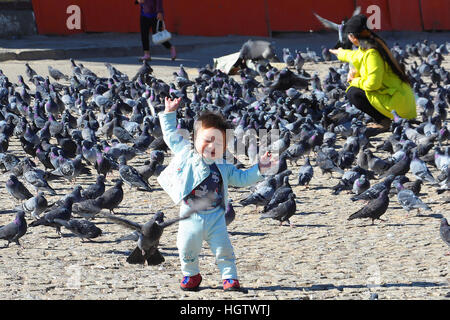 Bambino/toddler giocando con centinaia di piccioni in Mongolia in un quadrato Foto Stock