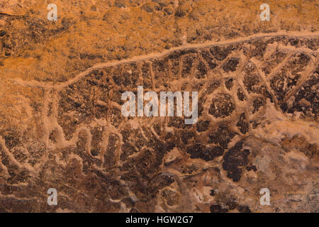 Incisioni rupestri a Hickison Petroglyph Area ricreativa lungo l'autostrada US 50, situato al vertice Hickison vicino a Austin, Nevada, STATI UNITI D'AMERICA Foto Stock