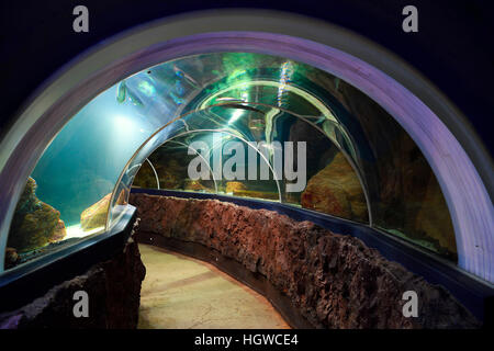 Fischtunnel Sylt-Aquarium im, Westerland, Sylt, nordfriesische isole, Nordfriesland, Schleswig-Holstein, Germania Foto Stock