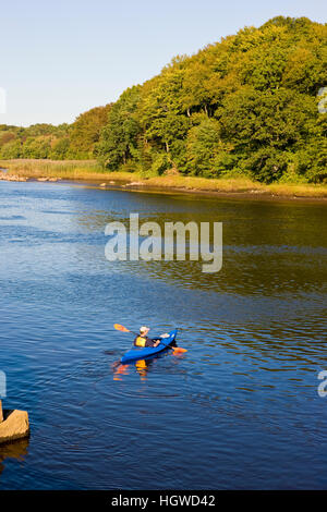 Un uomo in kayak in basso, porzione di marea del fiume Taunton in Dighton, Massachusetts. Recentemente indicata una selvaggia e Scenic River. L'estate. Foto Stock