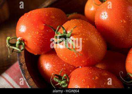 Materie organico rosso pomodoro Roma pronti per la cottura Foto Stock