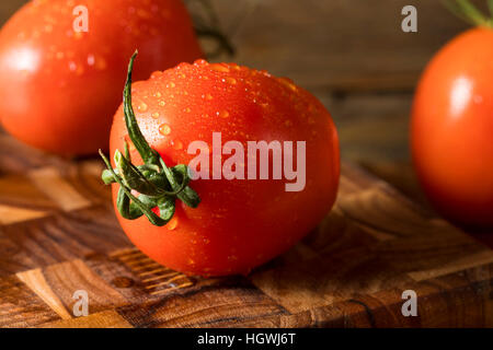 Materie organico rosso pomodoro Roma pronti per la cottura Foto Stock