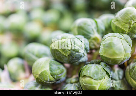 Macro closeup dei cavoli di Bruxelles sul gambo sul display Foto Stock