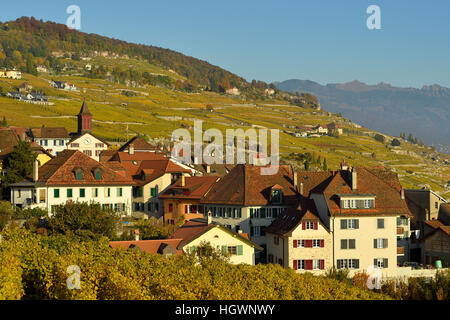 Vigneti in autunno con la viticoltura villaggio di Rivaz, Lavaux, Canton Vaud, Svizzera Foto Stock