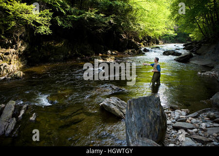 La pesca con la mosca sul ramo ovest del fiume Westfield a Chester, Massachuetts. Keystone Arch Bridge Trail. Foto Stock