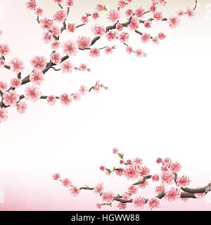 Illustrazione del ramo di fioritura di Sakura. EPS 10 Illustrazione Vettoriale