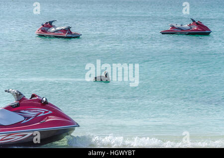 Aruba, dei Caraibi - 28 Settembre 2012: Jet Ski barca sul mare in attesa di essere navigare verso il Mar dei Caraibi. Foto Stock