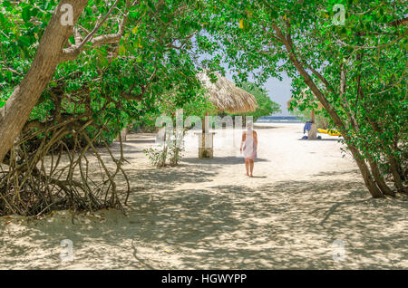 Aruba, dei Caraibi - 28 Settembre 2012: Guardando attraverso gli alberi di mangrovie in Mangel Halto beach ad Aruba Foto Stock