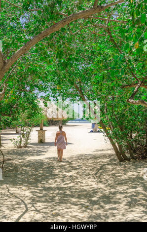 Aruba, dei Caraibi - 28 Settembre 2012: Guardando attraverso gli alberi di mangrovie in Mangel Halto beach ad Aruba Foto Stock