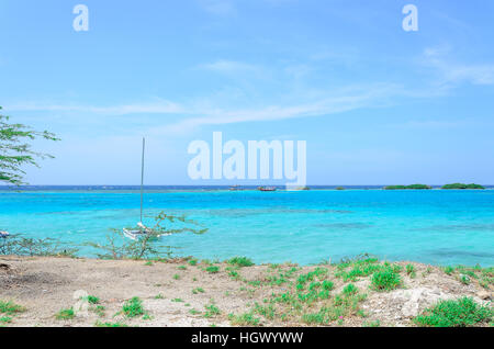 Aruba, dei Caraibi - 28 Settembre 2012: Guardando attraverso gli alberi in Mangel Halto beach ad Aruba Foto Stock