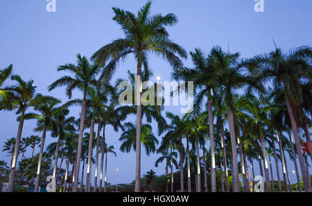 Aruba, dei Caraibi - Settembre 27, 2012: Scenic vista al tramonto tra gli alberghi e alloggi turistici presso la località di villeggiatura di Palm Beach Foto Stock