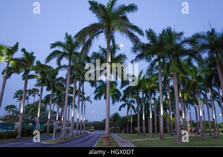 Aruba, dei Caraibi - Settembre 27, 2012: Scenic vista al tramonto tra gli alberghi e alloggi turistici presso la località di villeggiatura di Palm Beach Foto Stock