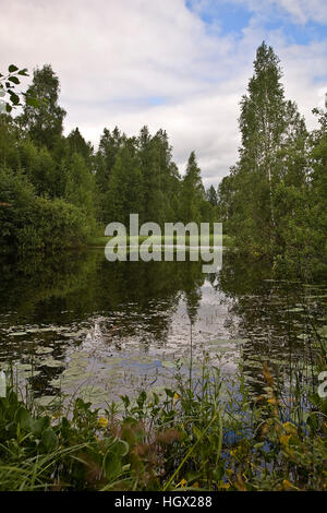 Piccolo lago nella foresta vicino a Torsby, Varmland, Svezia Foto Stock