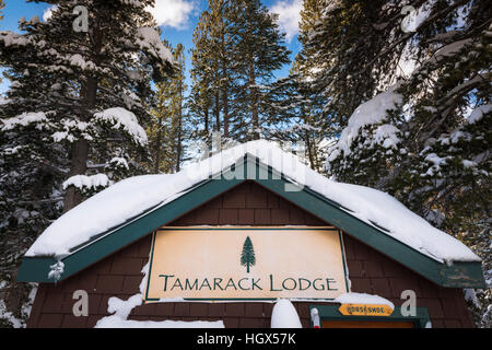 Tamarack Lodge cross-country ski capanna, Inyo National Forest, California USA Foto Stock