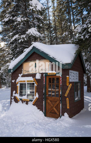 Tamarack Lodge cross-country ski capanna, Inyo National Forest, California USA Foto Stock