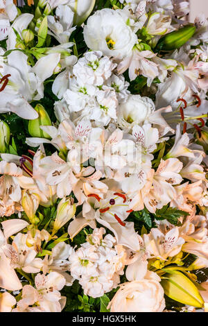 Alstroemeria, Lilium candidum e Eustoma Grandiflorum in colore bianco Foto Stock