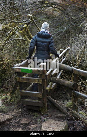 Regno Unito, Inghilterra, Derbyshire, Cressbrook Dale in inverno, walker attraversamento coperto di brina passerella sul torrente Foto Stock